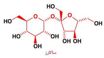 ساکارز یا ساکاروز چیست ؟