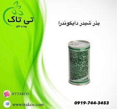 قیمت بذر شبدر زینتی دایکوندرا 09190993466