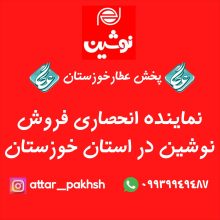 کیک و کلوچه نوشین لاهیجان رو مستقیم از نمایندگی رسمی بخرید!