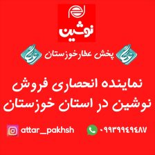 کیک و کلوچه نوشین لاهیجان رو مستقیم از نمایندگی رسمی بخرید!