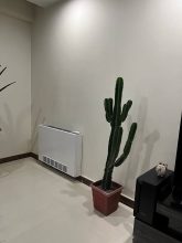 فنکویل زمینی باریک